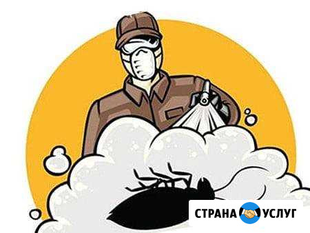 Уничтожение клещей,тараканов,клопов, блох Великий Новгород - изображение 1