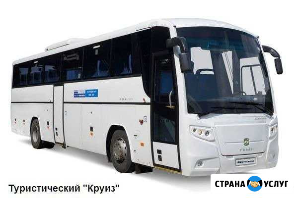 Пассажирские перевозки Иваново - изображение 1