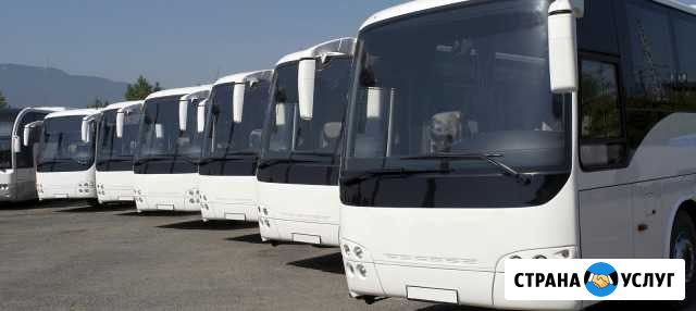 Аренда автобуса и микроавтобуса Нижний Новгород - изображение 1