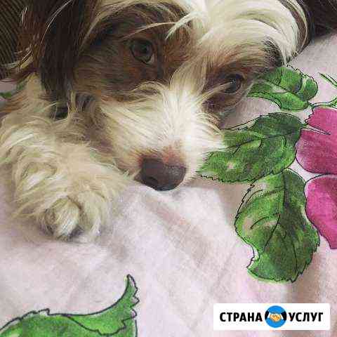 Кабель Курск