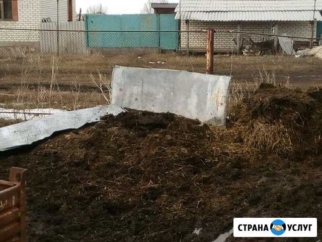 Навоз перегной земля Димитровград - изображение 1