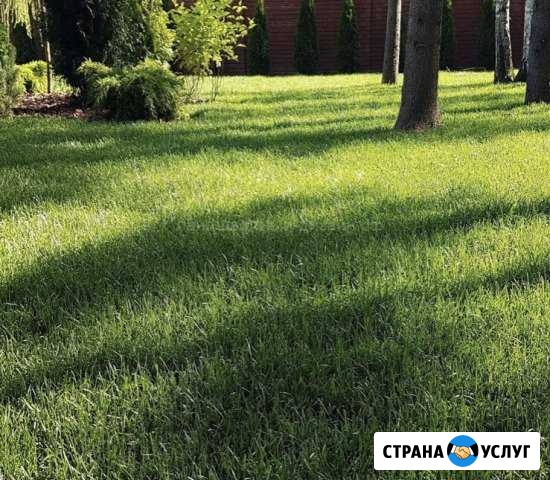 Покос травы Матвеев-Курган - изображение 1