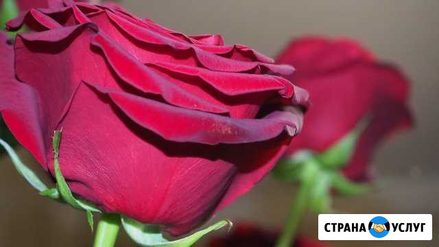 Профессиональная видеосъемка Нальчик - изображение 1