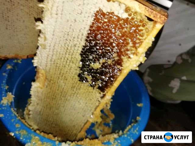 Мед Великие Луки - изображение 1