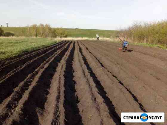 Вспашка земли мотоблоком Тамбов