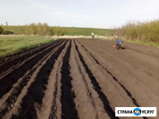 Вспашка земли мотоблоком Тамбов - изображение 1