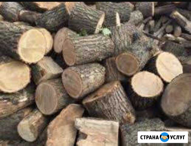 Дрова Дуб Граб Симферополь - изображение 1