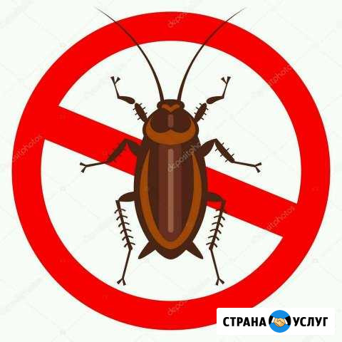Уничтожение насекомых Волгодонск - изображение 1