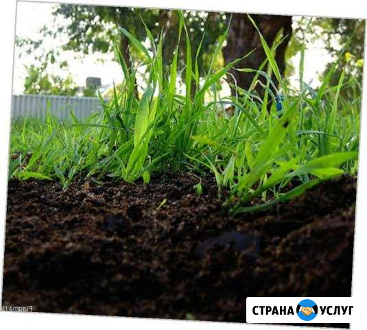 Плодородный грунт грунт для сада Электросталь - изображение 1