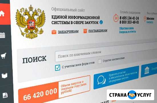Тендерное сопровождение, госзакупки Прибельский - изображение 1