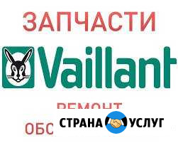 Vaillant ремонт котлов,запасные части,обслуживание Санкт-Петербург - изображение 1
