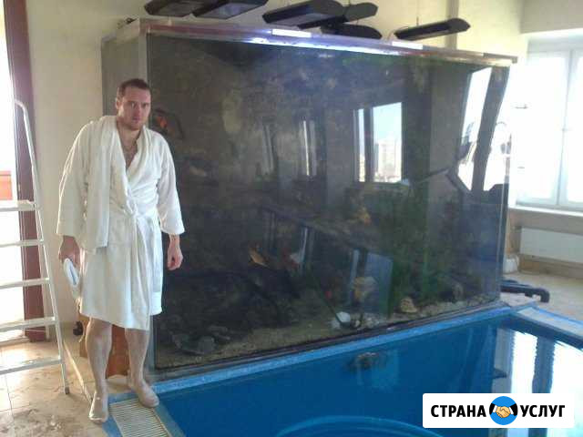 Обслуживание и оформления аквариума Москва - изображение 1
