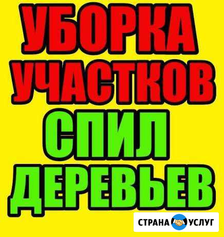 Спил деревьев, уборка участков, вывоз Армавир - изображение 1