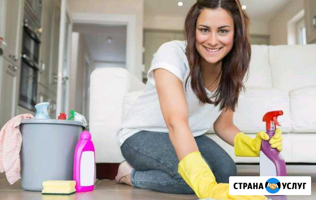 Уборка квардир Новомосковск - изображение 1