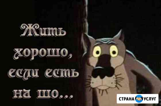 Передержка животн в квартире ) Казань