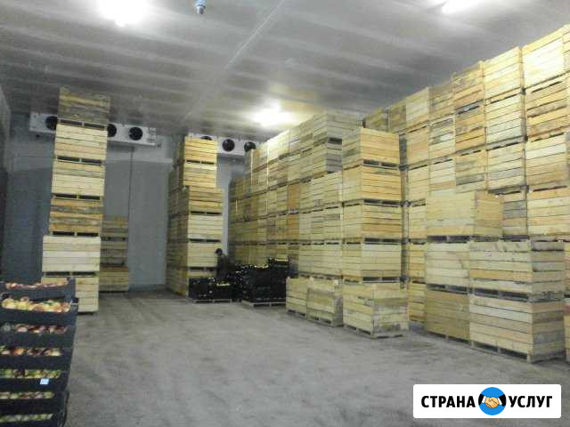Монтаж овощехранилищ. Холодильное оборудование Белогорск - изображение 1