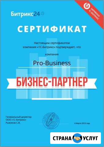 Настройка Битрикс 24 (CRM) под ключ Ростов-на-Дону - изображение 1