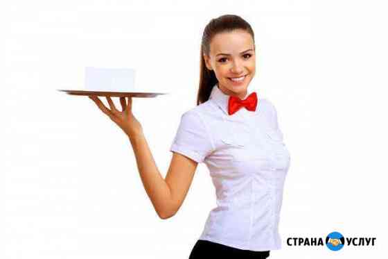 Подготовка официантов / час Армавир