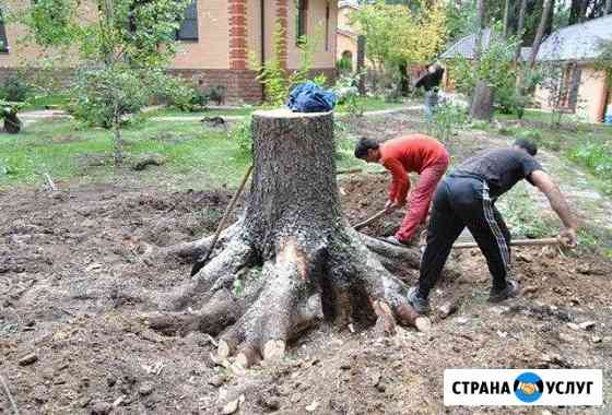 Расчистка участков,спил деревьев Сочи