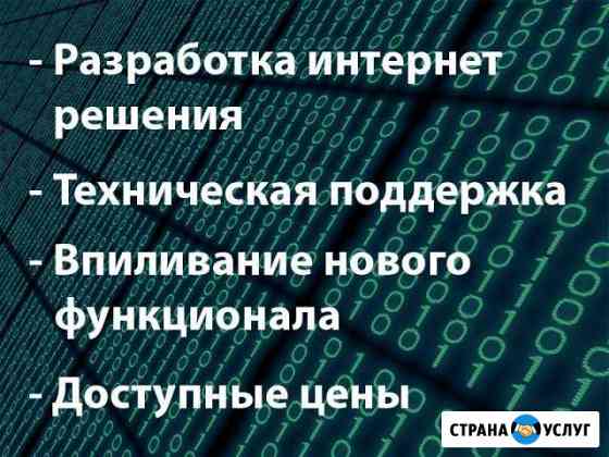 Разработка, техподдержка сайтов Иркутск