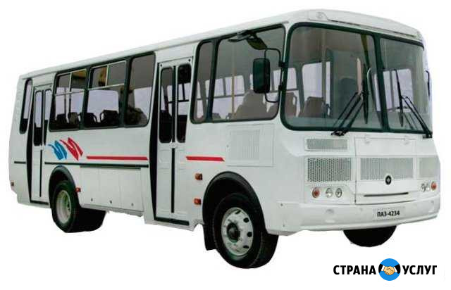 Автобус паз.На все виды заказов и вахты Самара - изображение 1