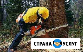 Спиливание, вырубка деревьев Рамонь - изображение 1