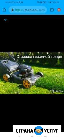 Покос травы Новомихайловский кп - изображение 1