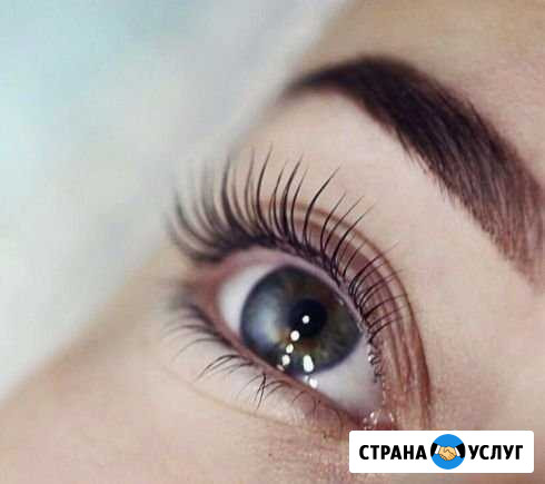 Ламинирование ресниц Роза - изображение 1