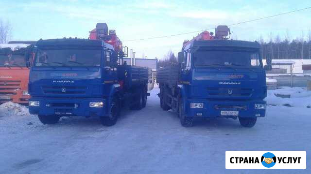 Манипулятор, автовышка, автокран, самосвал Тельмана - изображение 1