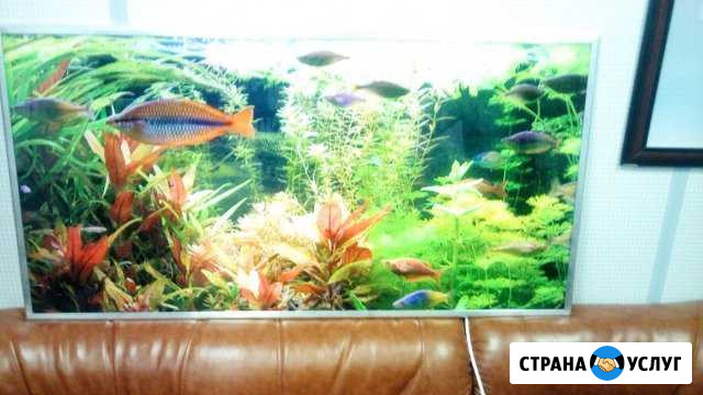 Экономичное отопление Жуковский - изображение 1