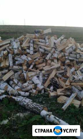Дрова берёза Бураево - изображение 1