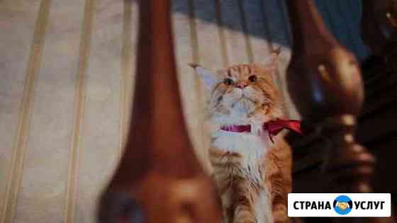 Изготовление лестниц Ростов-на-Дону