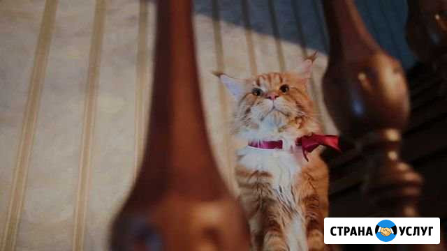 Изготовление лестниц Ростов-на-Дону - изображение 1