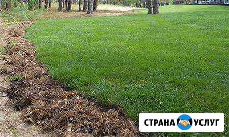 Газон под ключ Москва