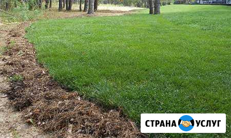 Газон под ключ Москва - изображение 1