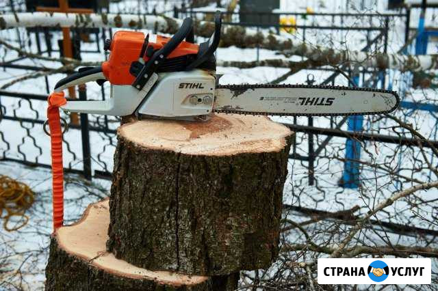 Спил деревьев.Скос травы. Культивация. Вывоз мусор Волгоград - изображение 1
