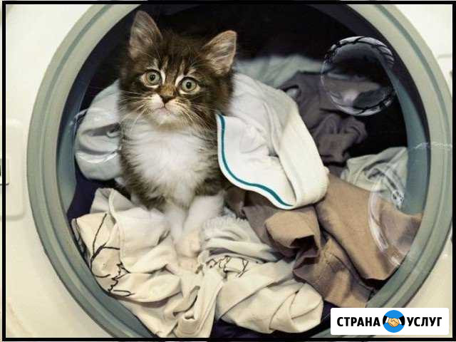 Ремонт Стиральных и посудомоечных машин Москва - изображение 1