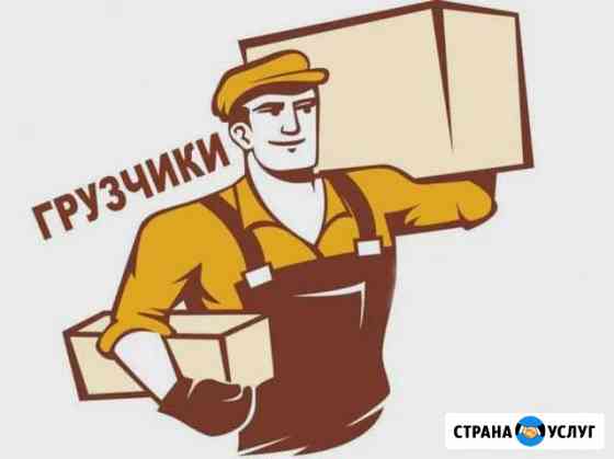Грузчики Камышин