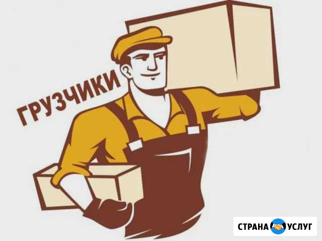 Грузчики Камышин - изображение 1
