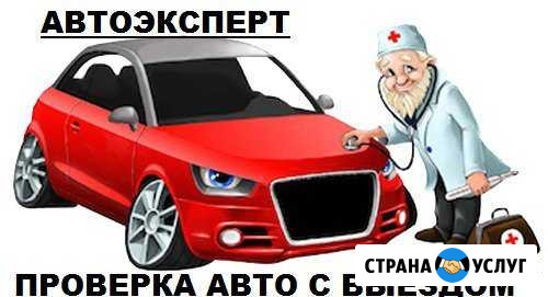 Автоэксперт. Проверка авто перед покупкой, выезд Альметьевск - изображение 1