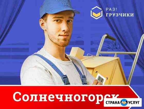 Грузчики Солнечногорск