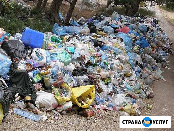 Вывоз мусора до 10 кубов Киров - изображение 1