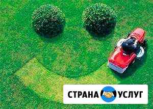 Покос травы, валка деревьев Санкт-Петербург