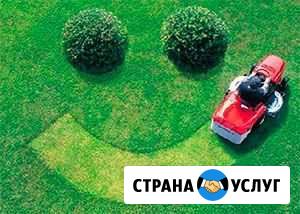 Покос травы, валка деревьев Санкт-Петербург - изображение 1