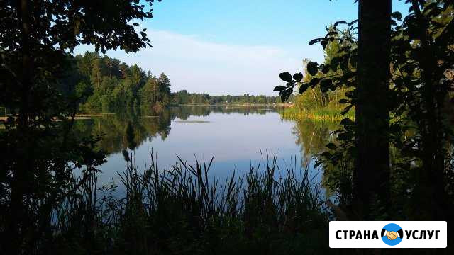 Все услуги в сфере недвижимости:межевание,регистра Луга - изображение 1