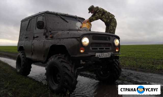 УАЗ Нива Губкин - изображение 1