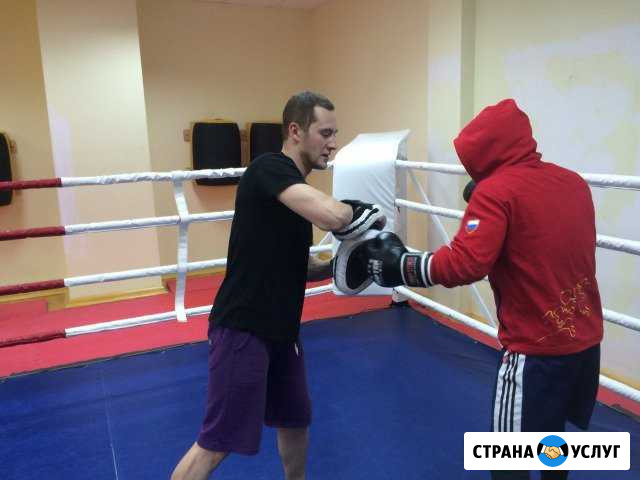 Индивидуальные тренировки по боксу на лапах Киров - изображение 1
