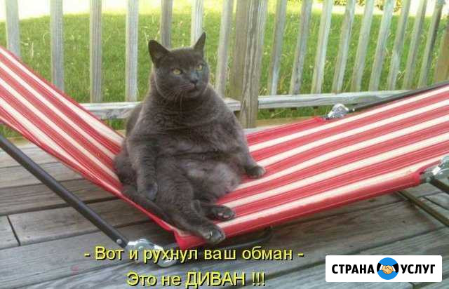 Ремонт и изготовление мягкой мебели Севастополь - изображение 1