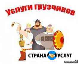 Ваши грузчики Новодвинск