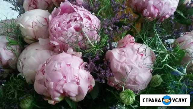 Учитель-дефектолог, логопед Реутов - изображение 1